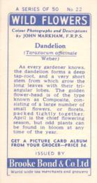 1955 Brooke Bond Wild Flowers #22 Dandelion Back