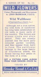 1955 Brooke Bond Wild Flowers #26 Wild Wallflower Back