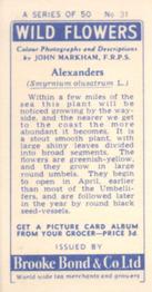 1955 Brooke Bond Wild Flowers #31 Alexanders Back