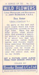 1955 Brooke Bond Wild Flowers #32 Sea Aster Back