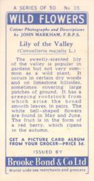 1955 Brooke Bond Wild Flowers #35 Lily of the Valley Back
