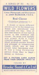 1955 Brooke Bond Wild Flowers #39 Red Clover Back
