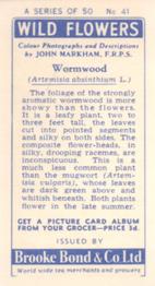 1955 Brooke Bond Wild Flowers #41 Wormwood Back