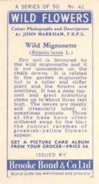 1955 Brooke Bond Wild Flowers #42 Wild Mignonette Back