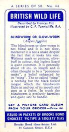 1958 Brooke Bond British Wild Life - Brooke Bond British Wild Life 2nd Printing #44 Blindworm or Slow-Worm Back