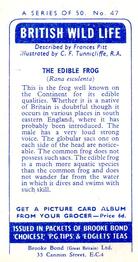 1958 Brooke Bond British Wild Life - Brooke Bond British Wild Life 2nd Printing #47 The Edible Frog Back