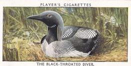1932 Player's Wild Birds (Small) #11 The Black-Throated Diver Front