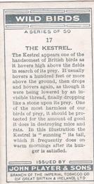 1932 Player's Wild Birds (Small) #17 The Kestrel Back