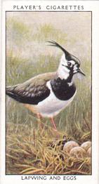 1932 Player's Wild Birds (Small) #20 Lapwing and Eggs Front