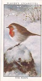 1932 Player's Wild Birds (Small) #32 The Robin Front