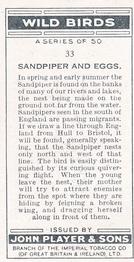 1932 Player's Wild Birds (Small) #33 Sandpiper and Eggs Back
