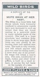 1932 Player's Wild Birds (Small) #37 Mute Swan at Her Nest Back