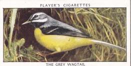 1932 Player's Wild Birds (Small) #42 The Grey Wagtail Front