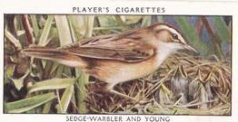 1932 Player's Wild Birds (Small) #44 Sedge-Warbler and Young Front