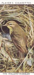 1932 Player's Wild Birds (Small) #45 The Willow-Warbler Front