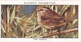 1932 Player's Wild Birds (Small) #49 The Wren Front