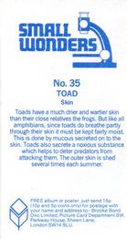 1981 Brooke Bond Small Wonders #35 Toad Back