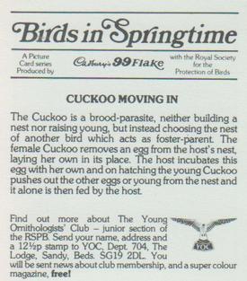 1983 Cadbury's Birds in Springtime #NNO Cuckoo moving in Back