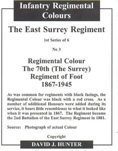 2007 Regimental Colours : The East Surrey Regiment #3 Regimental Colour 70th Foot 1867-1945 Back