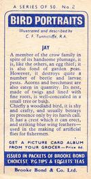 1957 Brooke Bond Bird Portraits  - Without Address #2 Jay Back