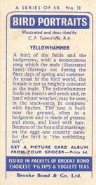1957 Brooke Bond Bird Portraits  - Without Address #11 Yellowhammer Back