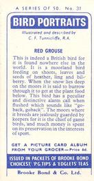 1957 Brooke Bond Bird Portraits  - Without Address #31 Red Grouse Back