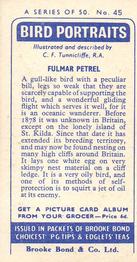 1957 Brooke Bond Bird Portraits  - Without Address #45 Fulmar Petrel Back