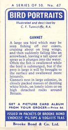 1957 Brooke Bond Bird Portraits  - Without Address #47 Gannet Back