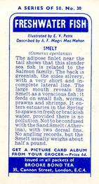 1960 Brooke Bond Freshwater Fish #30 Smelt Back