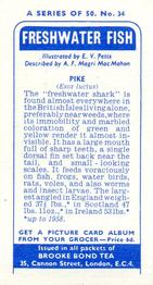 1960 Brooke Bond Freshwater Fish #34 Pike Back