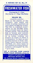 1960 Brooke Bond Freshwater Fish #39 Yellow Eel Back