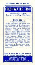 1960 Brooke Bond Freshwater Fish #40 Silver Eel Back