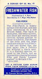 1960 Brooke Bond Freshwater Fish #43 Pike-Perch Back