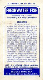 1960 Brooke Bond Freshwater Fish #44 Sturgeon Back