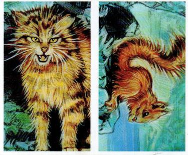 1994 Brooke Bond Going Wild (Double Cards) #1-2 Scottish Wildcat / Red Squirrel Front