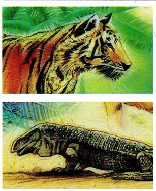 1994 Brooke Bond Going Wild (Double Cards) #17-18 Monitor Lizard / Bengal Tiger Front