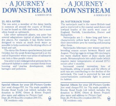 1990 Brooke Bond A Journey Downstream (Double Cards) #20-21 Natterjack Toad / Sea Aster Back