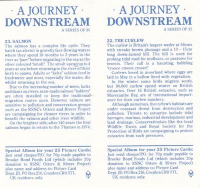 1990 Brooke Bond A Journey Downstream (Double Cards) #22-23 The Curlew / Salmon Back