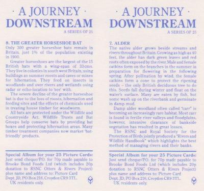 1990 Brooke Bond A Journey Downstream (Double Cards) #7-8 Alder / The Greater Horshoe Bat Back