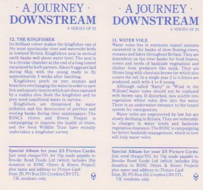 1990 Brooke Bond A Journey Downstream (Double Cards) #11-12 Water Vole / The Kingfisher Back