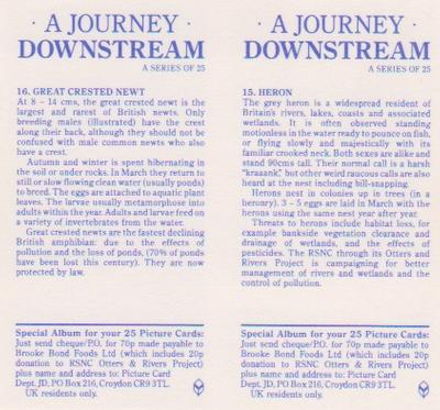 1990 Brooke Bond A Journey Downstream (Double Cards) #15-16 Heron / Great Crested Newt Back