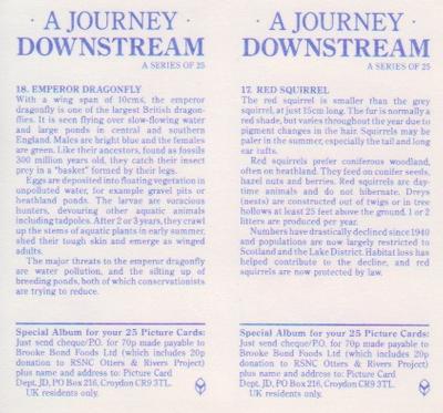 1990 Brooke Bond A Journey Downstream (Double Cards) #17-18 Red Squirrel / Emperor Dragonfly Back