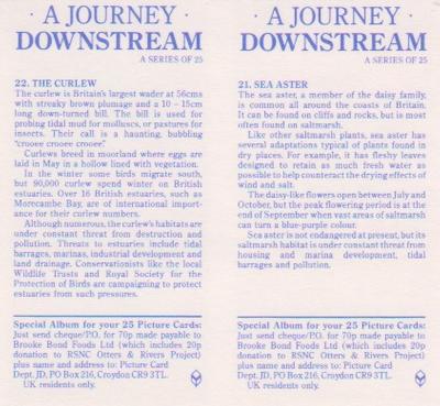1990 Brooke Bond A Journey Downstream (Double Cards) #21-22 Sea Aster / The Curlew Back
