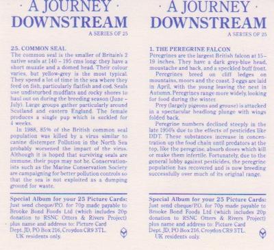 1990 Brooke Bond A Journey Downstream (Double Cards) #25-1 Common Seal / The Peregrin Falcon Back