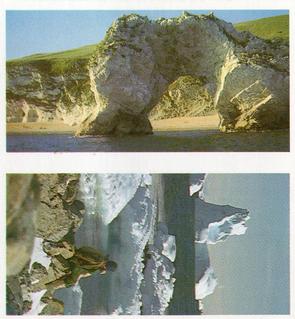 1984 Brooke Bond Features of the World (Double Cards) #43-47 Durdle Dor - Dorset / Icebergs Floating Offshore - Greenland Front