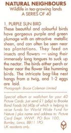 1992 Brooke Bond Natural Neighbours #1 Purple Sun Bird Back
