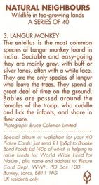 1992 Brooke Bond Natural Neighbours #3 Langur Monkey Back