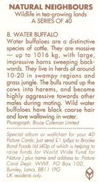 1992 Brooke Bond Natural Neighbours #8 Water Buffalo Back