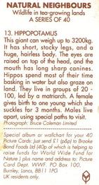 1992 Brooke Bond Natural Neighbours #13 Hippopatamus Back