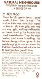 1992 Brooke Bond Natural Neighbours #32 Tree Frog Back